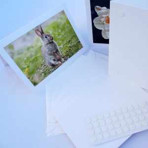 blank photo mount cards