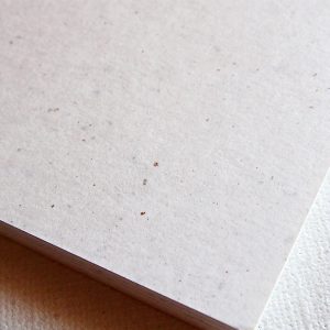 Silver Specks Cardstock